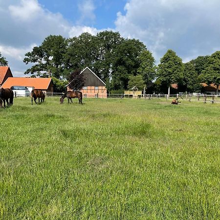 Landhaus Am Esch Warendorf Zewnętrze zdjęcie