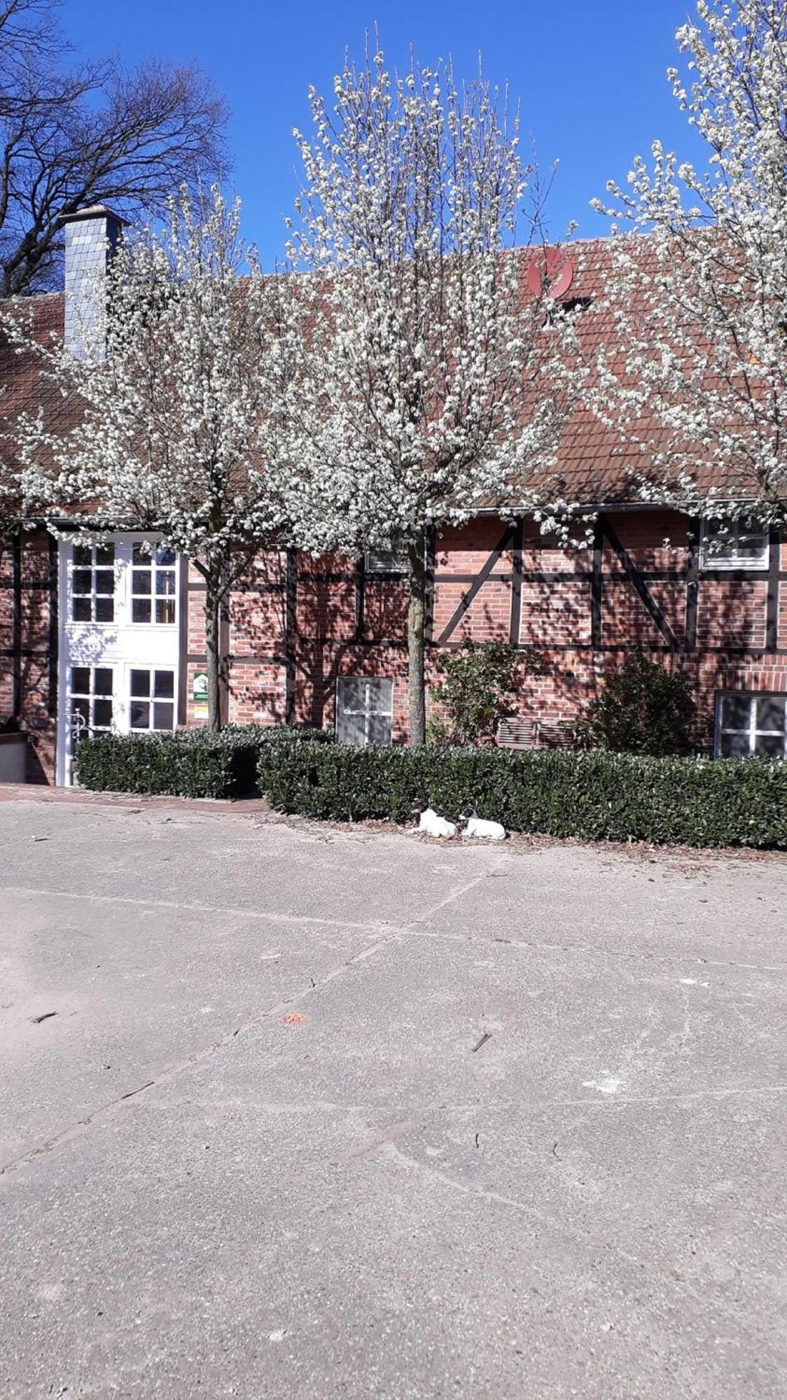 Landhaus Am Esch Warendorf Zewnętrze zdjęcie