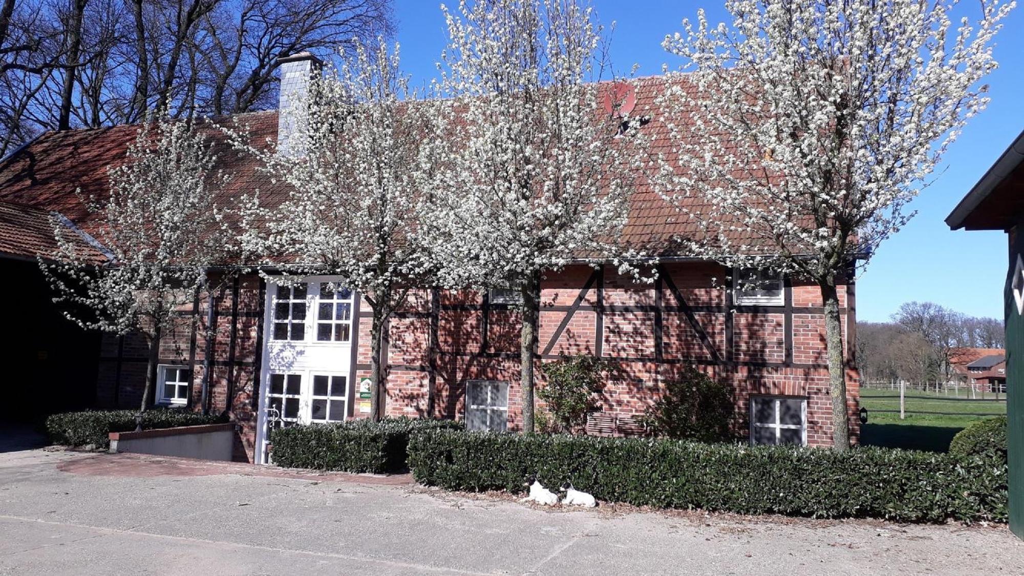 Landhaus Am Esch Warendorf Zewnętrze zdjęcie