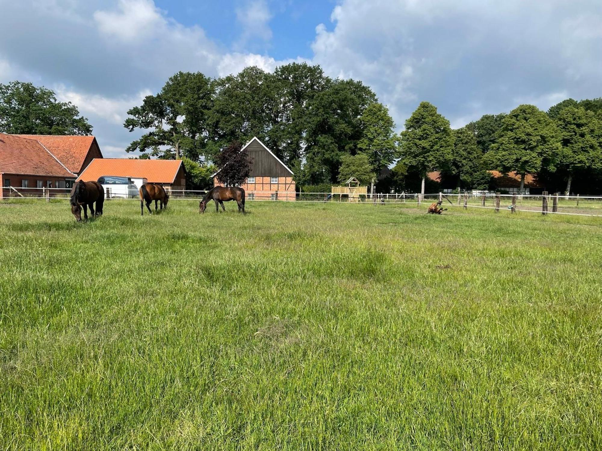 Landhaus Am Esch Warendorf Zewnętrze zdjęcie